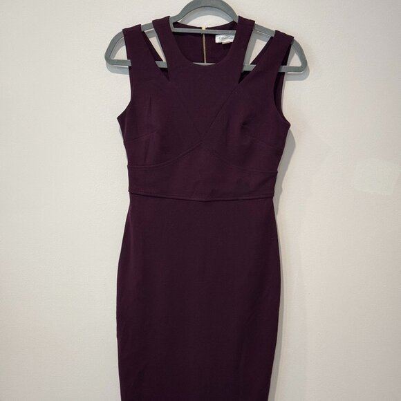 Calvin Klein Burgundy Shift Dress with Cutouts - Size 2 - Picture 3 of 6